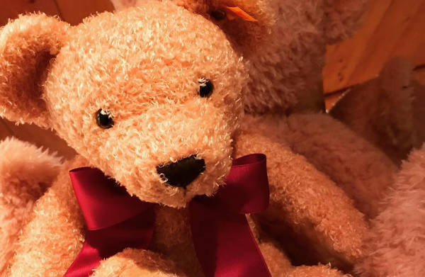 The Bear Essentials Teddy Bear Gift Shop, Bawnboy, Co Cavan