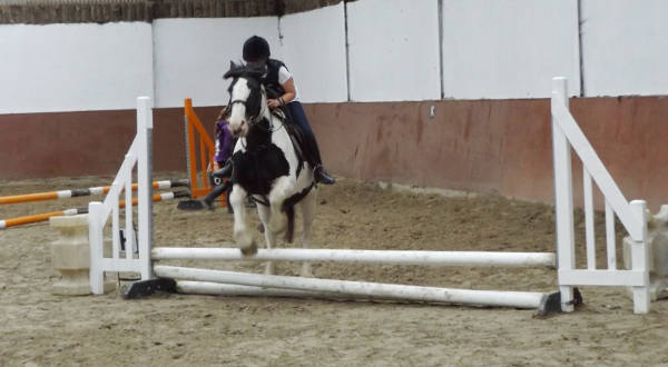 Birr Equestrian Centre in Offaly