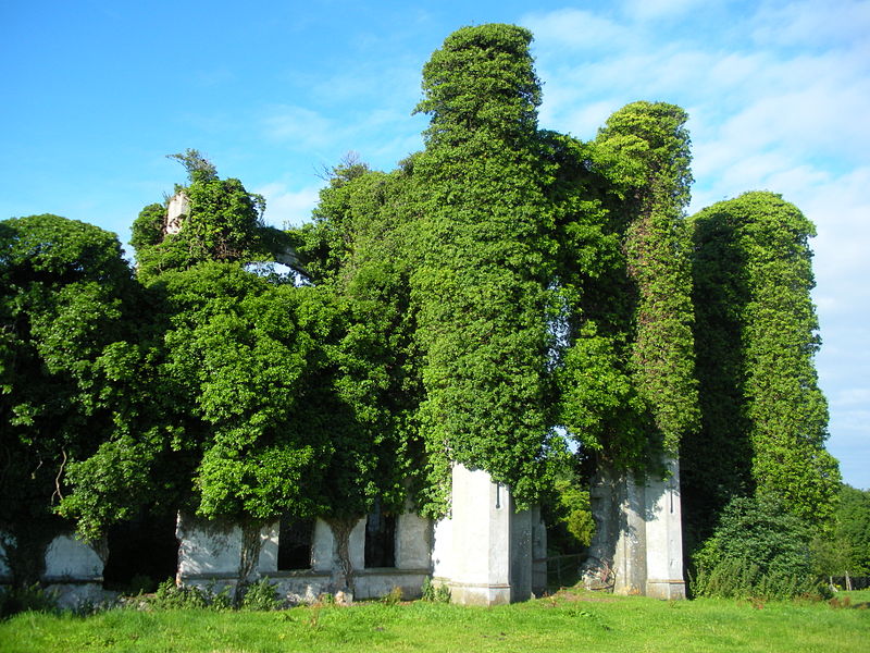 Moydrum Castle ruins, Athlone, Westmeath