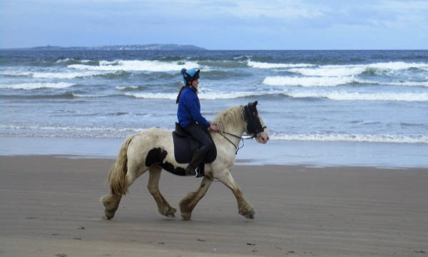 Donegal Equestrian Centre
