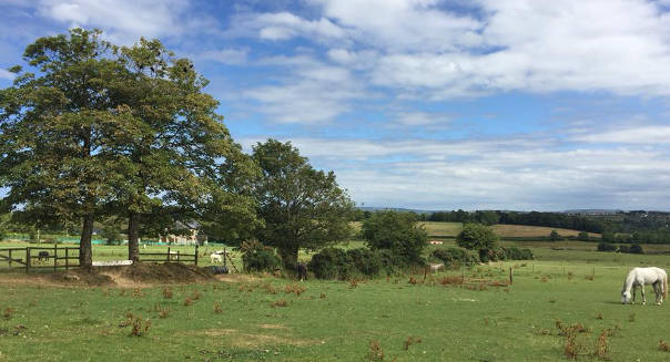 Lenamore Stables, Muff, Co Donegal 