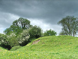 Danestown Ringfort Meath