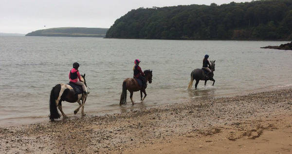 Stonehaven Equestrian Centre, Waterford City
