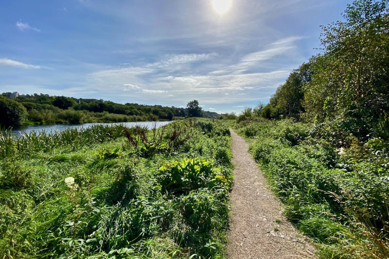 Enniscorthy Riverside Walk