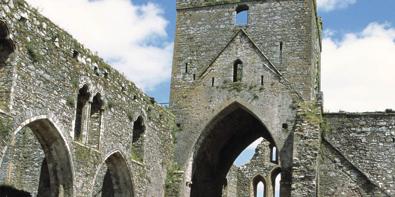 Dunbrody Abbey, Wexford