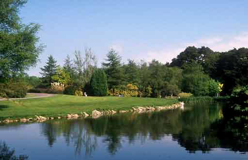John F Kennedy Arboretum 